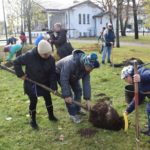 Suwalscy seniorzy sadzą drzewo