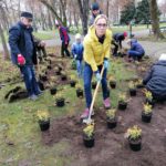 Anna Ruszewska, radna Rady Miejskiej w Suwałkach i wolontariusze sadzą trzmielinę w parku Konstytucji 3 Maja